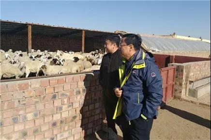 6377015198711528504373725.jpg 6377015198711528504373725.jpg